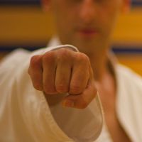 2013 06 25 NottinghamMartialArtsAcademy 50.0 mm 5302