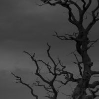 2014 02 22 eekendAtTheGeorges 02232014-170720 28.0 mm 8015