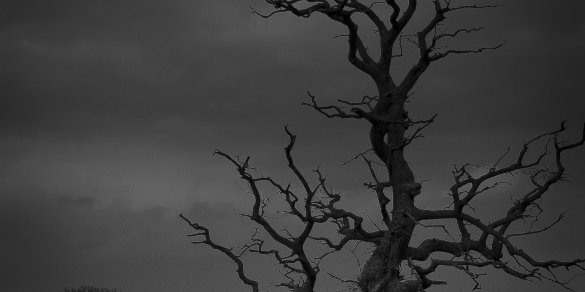 2014 02 22 eekendAtTheGeorges 02232014-170720 28.0 mm 8015