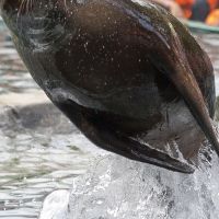 2012 07 31 Deb n Deej 7558