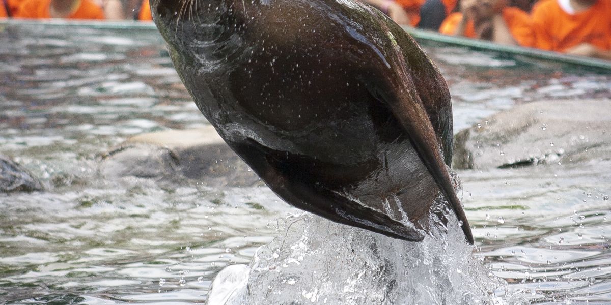 2012 07 31 Deb n Deej 7558