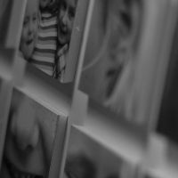 2014 02 22 eekendAtTheGeorges 02222014-122001 50.0 mm 8926